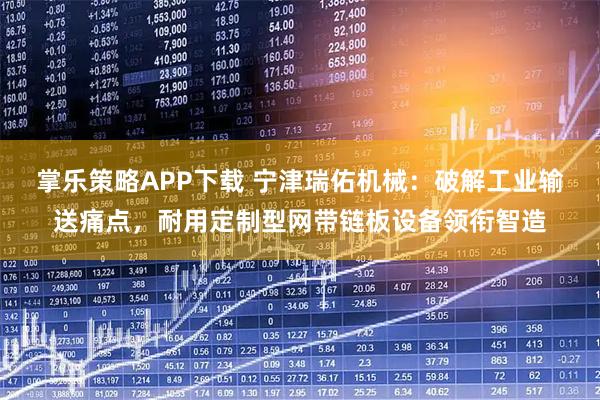 掌乐策略APP下载 宁津瑞佑机械：破解工业输送痛点，耐用定制型网带链板设备领衔智造