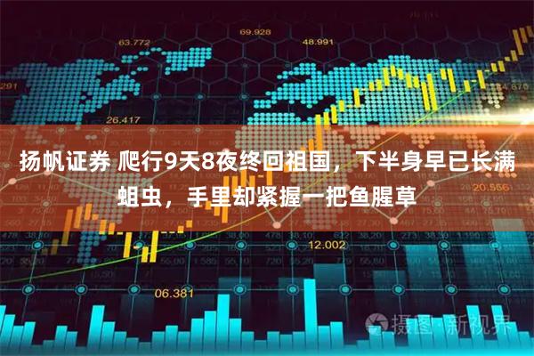 扬帆证券 爬行9天8夜终回祖国，下半身早已长满蛆虫，手里却紧握一把鱼腥草