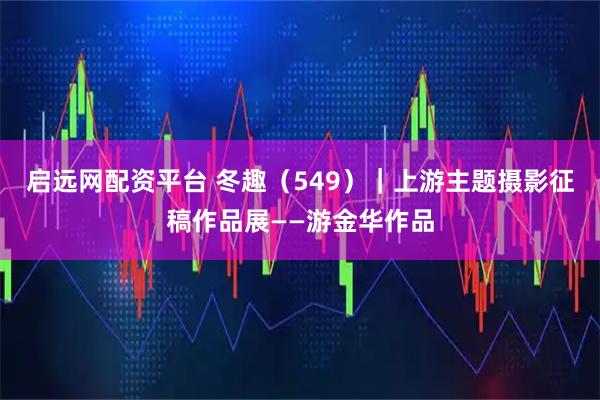 启远网配资平台 冬趣（549）｜上游主题摄影征稿作品展——游金华作品