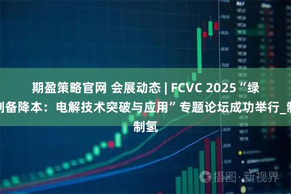 期盈策略官网 会展动态 | FCVC 2025“绿氢制备降本：电解技术突破与应用”专题论坛成功举行_制氢