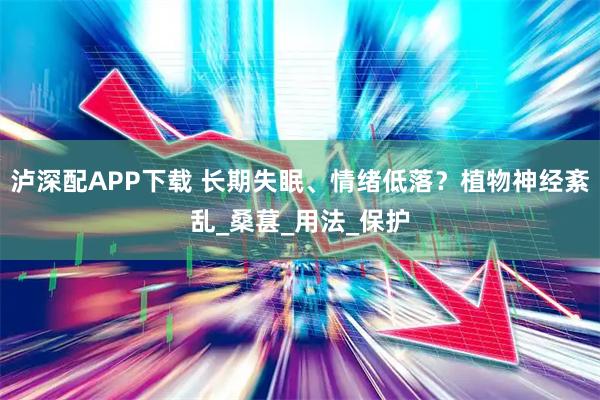 泸深配APP下载 长期失眠、情绪低落？植物神经紊乱_桑葚_用法_保护