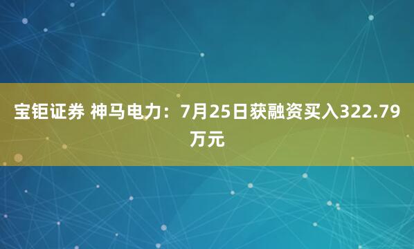 宝钜证券 神马电力：7月25日获融资买入322.79万元